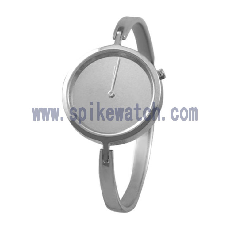 Stainless steel bangle watch