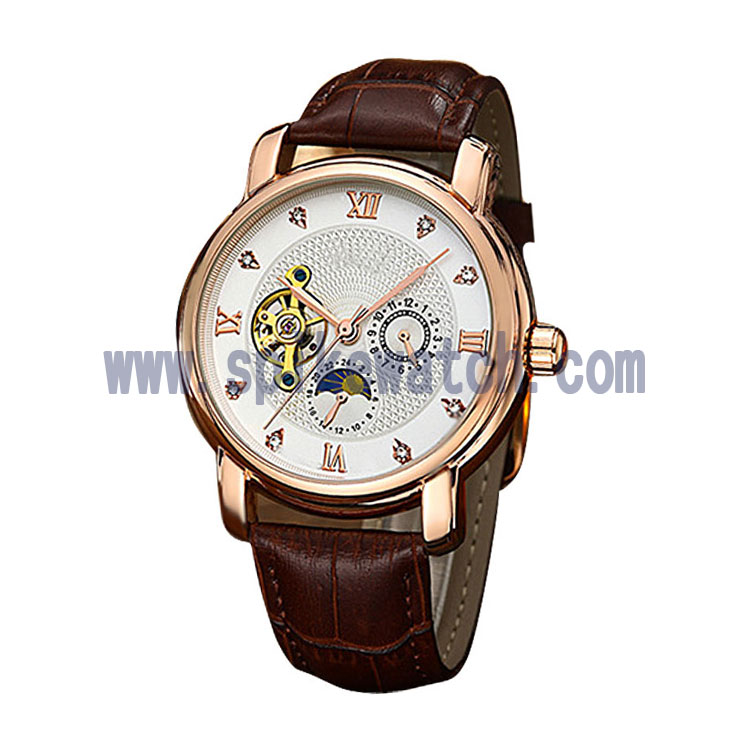 Luxury leather watch